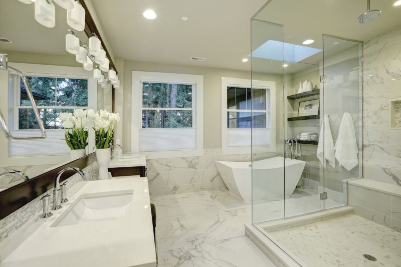 Luxury Bathtub and Shower Combo